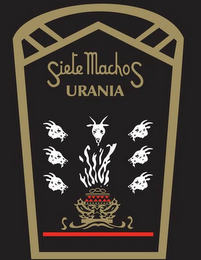 SIETE MACHOS URANIA