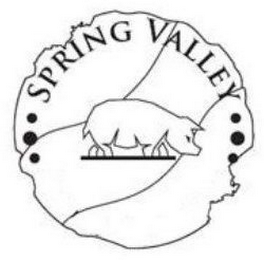 SPRING VALLEY