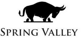 SPRING VALLEY