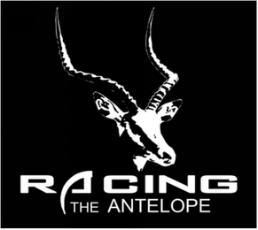 RACING THE ANTELOPE