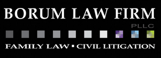 BORUM LAW FIRM FAMILY LAW CIVIL LITIGATION
