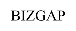 BIZGAP