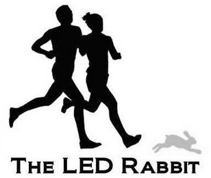 THE LED RABBIT