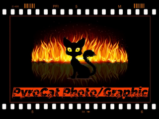 PYROCAT PHOTO/GRAPHIC