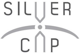 SILVER CAP