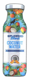 SPLENDID BLEND COCONUT WATER INFUSED WITH PEACH & MANGO