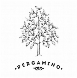 PERGAMINO