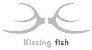 KISSING FISH