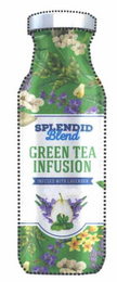 SPLENDID BLEND GREEN TEA INFUSION INFUSED WITH LAVENDER