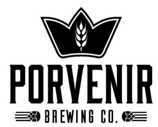 PORVENIR BREWING CO.