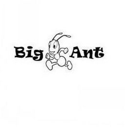 BIG ANT