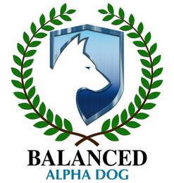 BALANCED ALPHA DOG