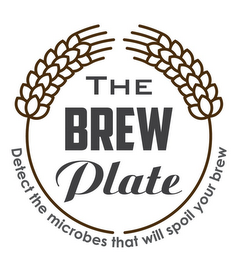 THE BREW PLATE DETECT THE MICROBES THATWILL SPOIL YOUR BREW