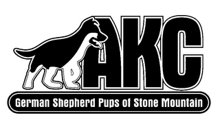 AKC GERMAN SHEPHERD PUPS OF STONE MOUNTAIN