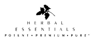 HERBAL ESSENTIALS POTENT · PREMIUM · PURE