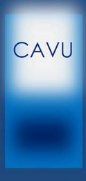 CAVU