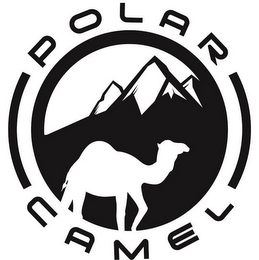 POLAR CAMEL