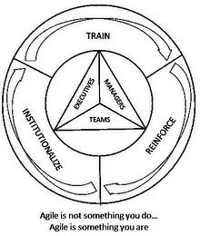 TRAIN REINFORCE INSTITUTIONALIZE EXECUTIVES MANAGERS TEAMS AGILE IS NOT SOMETHING YOU DO... AGILE IS SOMETHING YOU ARE