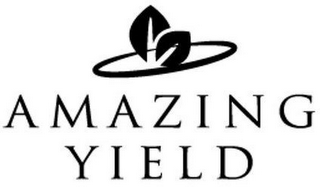 AMAZING YIELD