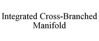 INTEGRATED CROSS-BRANCHED MANIFOLD