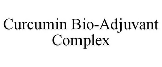 CURCUMIN BIO-ADJUVANT COMPLEX