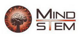 MIND STEM