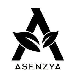 A ASENZYA