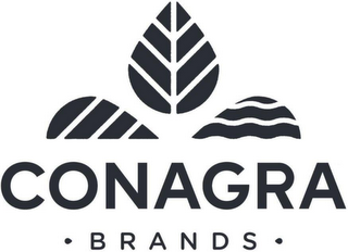 CONAGRA · BRANDS ·