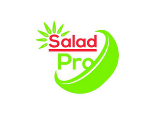 SALAD PRO