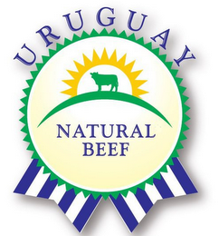 URUGUAY NATURAL BEEF