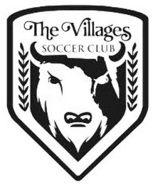 THE VILLAGES SOCCER CLUB