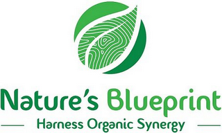 NATURE'S BLUEPRINT, HARNESS ORGANIC SYNERGY