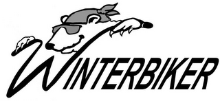 WINTERBIKER