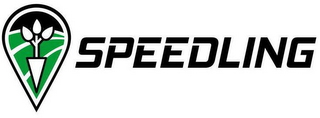 SPEEDLING