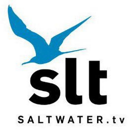 SLT SALTWATER.TV