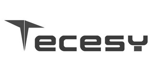 TECESY