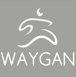 WAYGAN