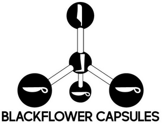 BLACKFLOWER CAPSULES