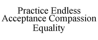 PRACTICE ENDLESS ACCEPTANCE COMPASSION EQUALITY