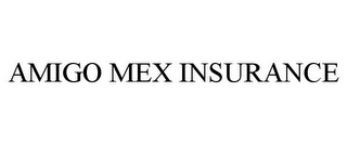 AMIGO MEX INSURANCE