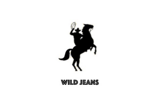 WILD JEANS