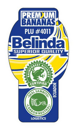 BELINDA PREMIUM BANANAS SUPERIOR QUALITY ECUADOR