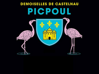 DOMAINE DE CASTELNAU PICPOUL