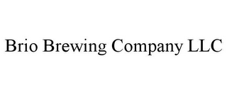 BRIO BREWING COMPANY LLC