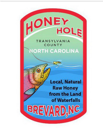 HONEY HOLE TRANSYLVANIA COUNTY NORTH CAROLINA LOCAL, NATURAL RAW HONEY FROM THE LAND OF WATERFALLS BREVARD, NC