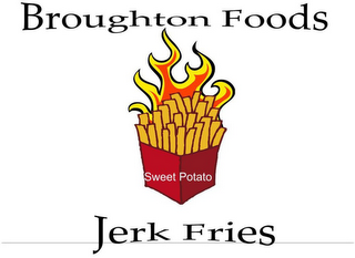 BROUGHTON FOODS JERK FRIES