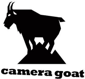 CAMERA GOAT