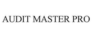 AUDIT MASTER PRO