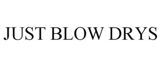 JUST BLOW DRYS