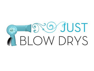 JUST BLOW DRYS